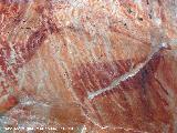 Pinturas rupestres de la Tabla del Pochico I. Ciervos