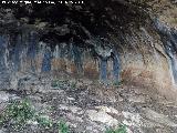 Pinturas rupestres de las Cuevas del Curro Abrigo II. Interior