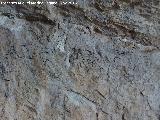 Pinturas rupestres de las Cuevas del Curro Abrigo II. Graffiti antiguo de Ave Mara