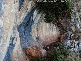 Pinturas rupestres de las Cuevas del Curro Abrigo III. Abrigo
