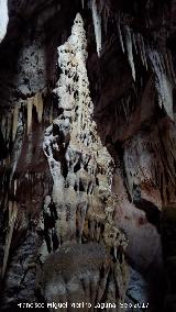 Cueva de los Murcilagos. Estalacmita