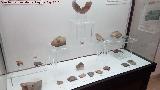 Cueva de los Murcilagos. Cermica neoltica. Museo Histrico de Zuheros