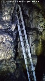 Cueva de Doa Trinidad. Subida al nivel superior