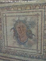 Villa Romana de Bruñel. Mosaico romano, busto de Thetis con patas de cangrejo en la cabeza y serpiente en el cuello. Museo Provincial de Jaén