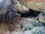 Cueva de la Zorra. 
