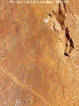 Pinturas rupestres del Abrigo de la Cueva del Santo Grupo II. Antropomorfo de la izquierda