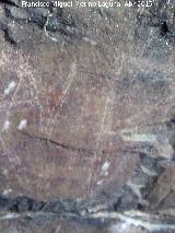 Pinturas rupestres de las Vacas del Retamoso III Grupo III. Series de puntos