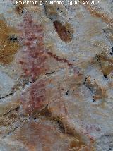 Pinturas rupestres de las Vacas del Retamoso XI Grupo II. Ramiforme con zigzag oblicuo y restos de figuras