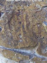 Pinturas rupestres de las Vacas del Retamoso XIII Grupo II. Pectiniforme inferior
