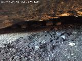 Yacimiento de la Cueva Del Nacimiento. 