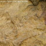 Pinturas rupestres de la Cueva del Engarbo I. Grupo II. Panel III. Detalle del antropomorfo esquemtico de color obscuro que se toca con las manos con otra figura derecha de color rojo y estilo naturalista