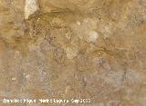 Pinturas rupestres de la Cueva del Engarbo I. Grupo IV. Panel I. Dos guerreros