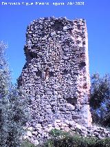 Castillo del Poyato. 