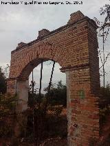Arco del Cortijo El Pino