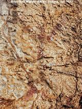 Pinturas y petroglifos rupestres de la Merced. Antropomorfo doble Y