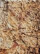 Pinturas y petroglifos rupestres de la Merced