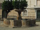 Fuente de San Pedro. 