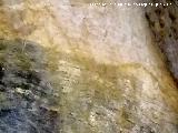 Pinturas rupestres y petroglifos de la Cueva de Doa Trinidad. Animal Caballo?