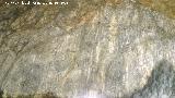 Pinturas rupestres y petroglifos de la Cueva de Doa Trinidad. Zoomorfo
