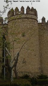 Castillo de la Vela. Torren circular