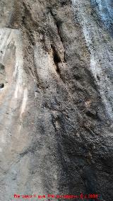 Cueva del Portillo. Techo del abrigo