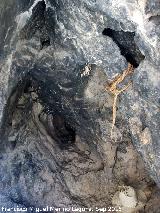 Abrigo Neandertal de la Serrezuela. Cueva