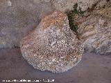 Piedras de molino de las Cuevas de los Majuelos y Aro. En la entrada a la Cueva de los Majuelos