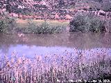 Pantano de Giribaile. Colas del pantano por el Puente Ariza en 2001