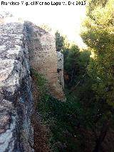 Castillo Viejo de Santa Catalina. Torreón de Tapial. Diferencia de altura entre el Torreón de Tapial y el Torreón del Patio