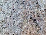 Pinturas rupestres de la Cueva de la Graja-Grupo VI. Barras verticales de la izquierda