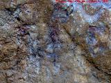 Pinturas rupestres de la Cueva de la Graja-Grupo XI. Restos de la parte superior