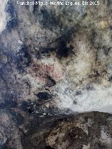 Pinturas rupestres de la Cueva de la Graja-Grupo VII. Ramiforme