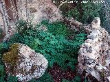 Casa Cueva Tallada del Tajo del Hacha. Mirador