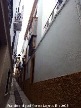 Calle Josefa Sevillanos. 