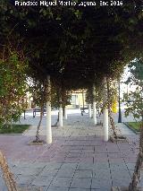 Plaza de la Plancha. 