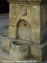 Fuente de la Calle Cronista Muro. Escudo y fuente