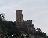 Castillo de Otiar. Alcazarejo. Vista Sur