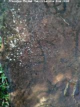 Petroglifos de Burguillos. Antropomorfo complejo