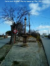 Cruz de San Tesifón. 