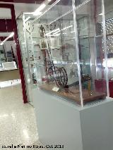 Museo de la Ciencia de San Antonio de Padua. 
