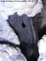 Cueva de los Esqueletos. Fauna