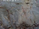 Pinturas rupestres de la Cueva de los Arcos I. Barra