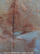 Pinturas rupestres de la Cueva de los Arcos I. Restos de pinturas
