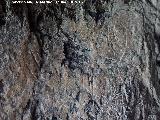 Petroglifos rupestres de la Cueva de las Ventanas. 