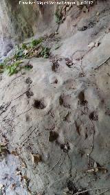 Petroglifos y pinturas rupestres del Abrigo de la Tinaja V. Cazoletas