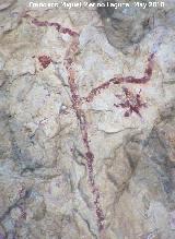 Pinturas rupestres de la Cueva del Sureste del Canjorro. 