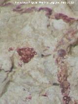 Pinturas rupestres de la Cueva del Sureste del Canjorro. 