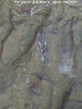 Pinturas rupestres de la Cueva del Sureste del Canjorro. Antropomorfo derecho