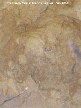 Pinturas rupestres de la Cueva del Sureste del Canjorro. Puntos de la pared izquierda