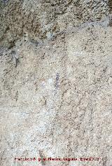 Pinturas rupestres de la Cueva de la Higuera. Punto y barra